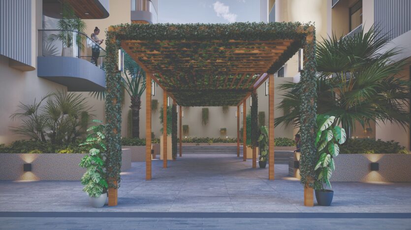 Brij Azalea ground view 2