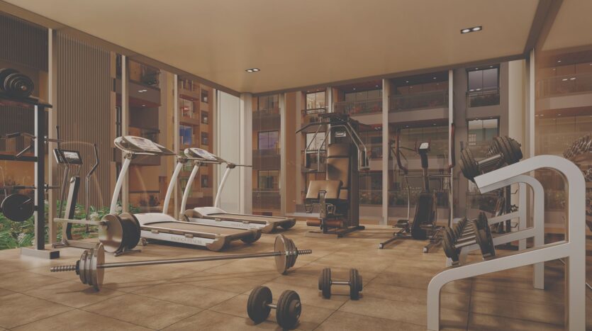 Brij Azalea gym area