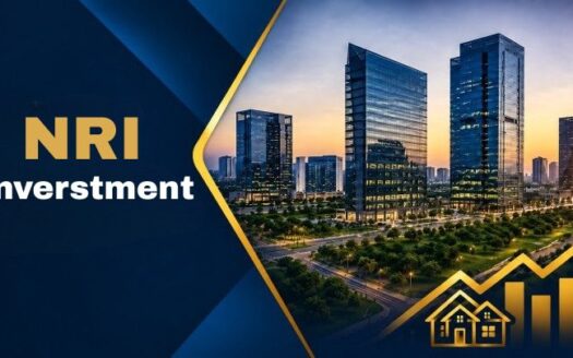 NRI Investment Guide